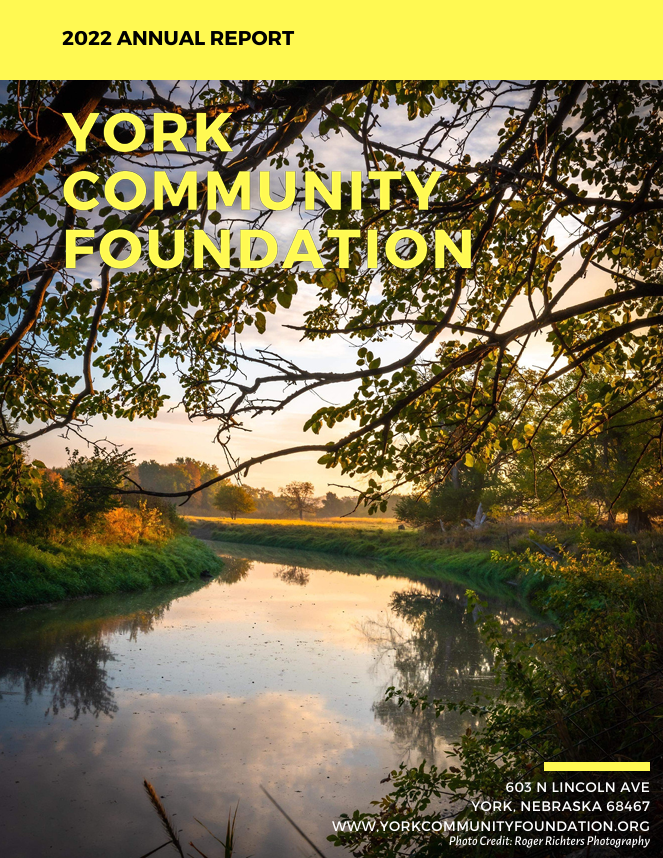 York Community Foundation Annual Report